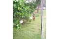 Property photo of 53 Simpson Street Boggabilla NSW 2409