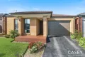 Property photo of 43 Macumba Drive Clyde North VIC 3978