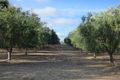 Property photo of 927 Monteagle Stock Route East Monteagle NSW 2594