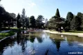 Property photo of 8/2-6 Aboukir Street Rockdale NSW 2216