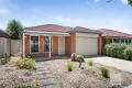 Property photo of 24 Mulberry Pass Craigieburn VIC 3064
