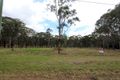 Property photo of 1045 Wollombi Road Greta Main NSW 2325