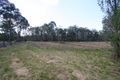 Property photo of 1045 Wollombi Road Greta Main NSW 2325