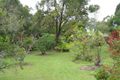 Property photo of 38 Evergreen Drive Elanora QLD 4221