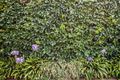 Property photo of 2/11 Symons Street Preston VIC 3072