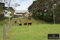 Property photo of 15 Pulman Street Berry NSW 2535