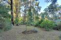 Property photo of 17 Ladd Road Emerald VIC 3782