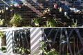 Property photo of 5 Tomah Crescent The Ponds NSW 2769