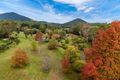 Property photo of 6-8 Clarke Street Mount Macedon VIC 3441