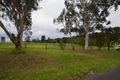 Property photo of 31 McCallum Road Doncaster VIC 3108
