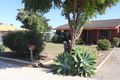 Property photo of 37 Johnston Street Wongan Hills WA 6603