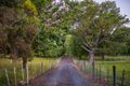 Property photo of 268 Relbia Road Relbia TAS 7258