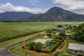 Property photo of 1 Nielsen Street Aloomba QLD 4871
