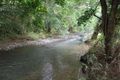 Property photo of 151 Harper Creek Road Conondale QLD 4552