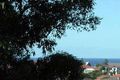 Property photo of 25 Henrietta Street Waverley NSW 2024