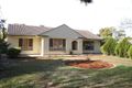 Property photo of 38 Northbri Avenue Salisbury East SA 5109