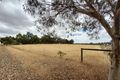 Property photo of 75 Shepherd Road Frankland River WA 6396