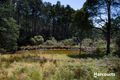 Property photo of 12984 Highland Lakes Road Golden Valley TAS 7304