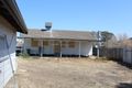 Property photo of 20 Barwon Avenue Moree NSW 2400