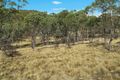 Property photo of 1712 Jerangle Road Jerangle NSW 2630