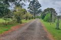 Property photo of 13 Griffin Road Blackbutt QLD 4314