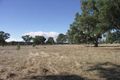 Property photo of 2 Hunter Road Benalla VIC 3672