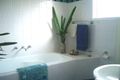 Property photo of 24 Mirreen Avenue Davistown NSW 2251