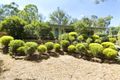 Property photo of 16 Acacia Road Hurstbridge VIC 3099