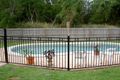 Property photo of 36 Strombus Avenue Trinity Beach QLD 4879