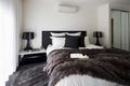 Property photo of 29 Curlew Way Peregian Springs QLD 4573