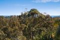 Property photo of 25 Seaview Parade Elanora QLD 4221