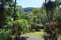 Property photo of 250 Blindmouth Road Main Arm NSW 2482