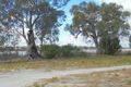 Property photo of 106 River Reserve Road Swan Reach SA 5354
