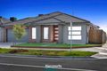 Property photo of 7 Chandoli Road Wollert VIC 3750