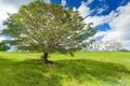 Property photo of 296 Lake Macdonald Drive Lake Macdonald QLD 4563