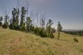 Property photo of 610 Traralgon-Balook Road Callignee VIC 3844