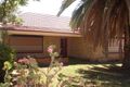 Property photo of 122 Collins Street Clearview SA 5085