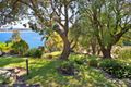 Property photo of 34 Bower Street Manly NSW 2095