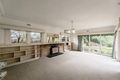 Property photo of 29 Bedford Street Box Hill VIC 3128