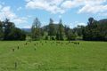 Property photo of 360 Cookes Road Conondale QLD 4552