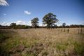 Property photo of 63 Level Crossing Road Vineyard NSW 2765