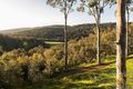 Property photo of 44 Butcher Road Roleystone WA 6111