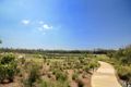 Property photo of 14 Biron Street Yarrabilba QLD 4207