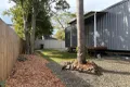 Property photo of 53 Dickson Street Bald Hills QLD 4036