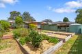 Property photo of 5 Grevillea Avenue Boronia VIC 3155