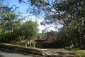 Property photo of 46 Crescent Road Newport NSW 2106