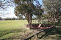 Property photo of 31 Bethania Street Lota QLD 4179