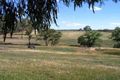 Property photo of 64 Jacksons Road Young NSW 2594