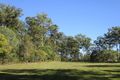 Property photo of 66 Martyn Road Bauple QLD 4650