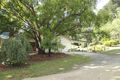 Property photo of 138 Woori Yallock Road Cockatoo VIC 3781